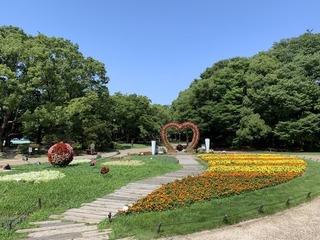 �̿� 2019-07-24 14 33 45