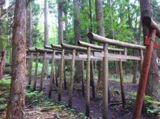 写真 2013-06-14 14 08 07 (314x235)