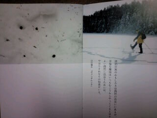 CA3G010400010001