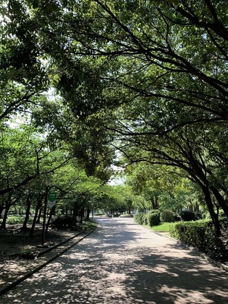 �̿��� 2019-07-24 15 34 04