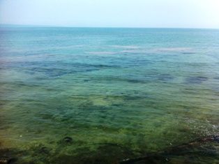写真 2013-06-06 13 06 57