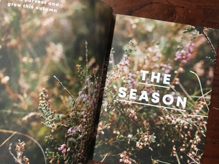 0817E1CB-B432-4400-A498-2CBD950491BA