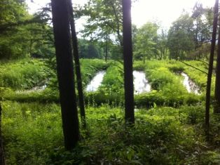 写真 2013-06-14 15 47 58 (314x235)
