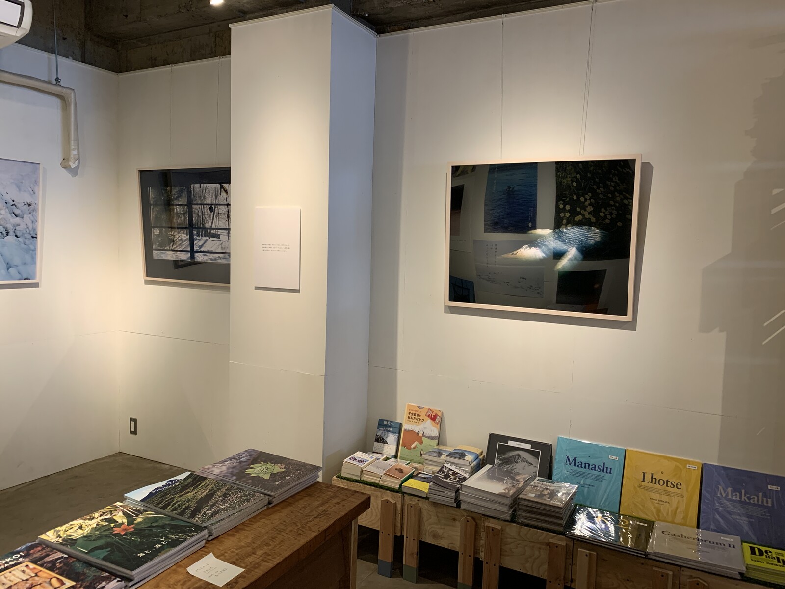 GARERLLY】いよいよ明日まで！ 石川直樹展 知床半島/TOP END