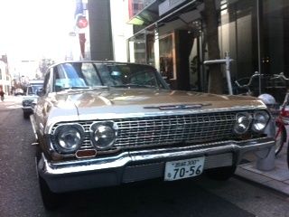 インパラ2