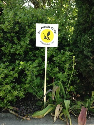 2014 05 USA iPhone 054