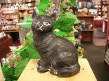 ANIMALねこ1