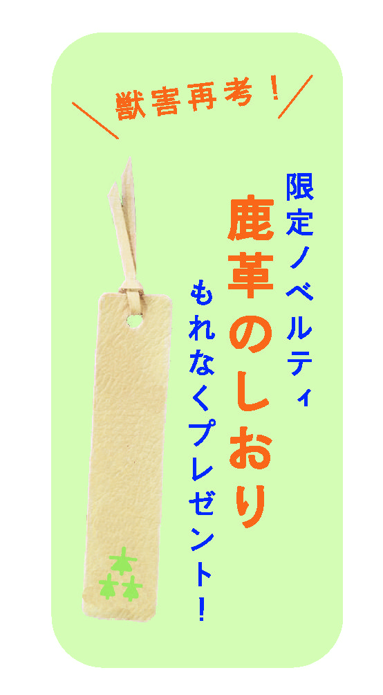 ¥Î¥Ù¥ë¥Æ¥£