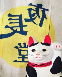 夜長堂イメージカット　暖簾と猫 (1)