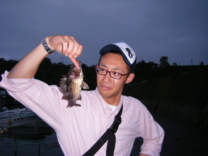 BLOG1044