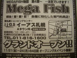 CIMG3274