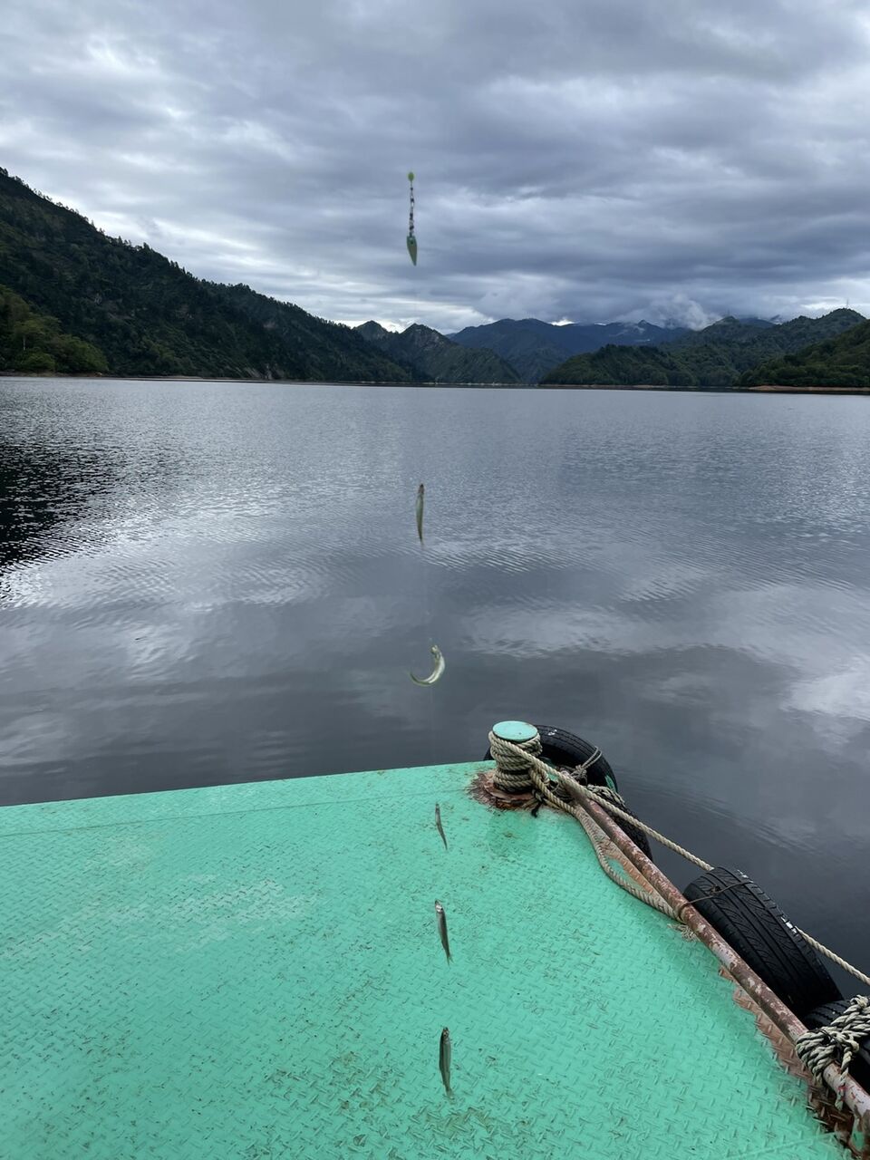 釣れてます 奥只見湖畔の宿 六方 釣れてます 奥只見湖畔の宿 六方