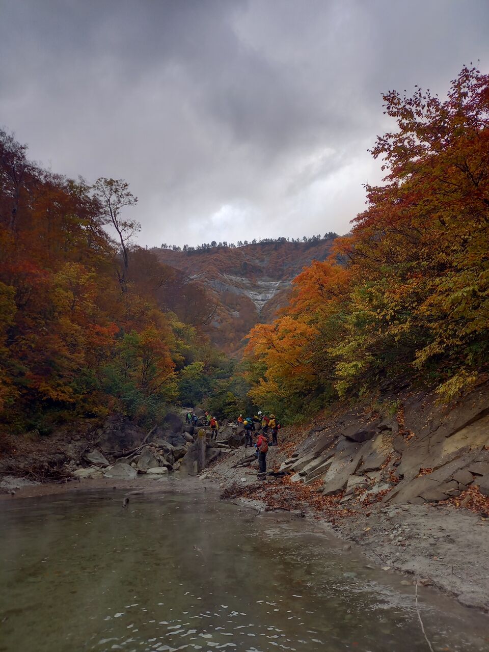 Ds Gk6saeesgzm Ds Gk6saeesgzm