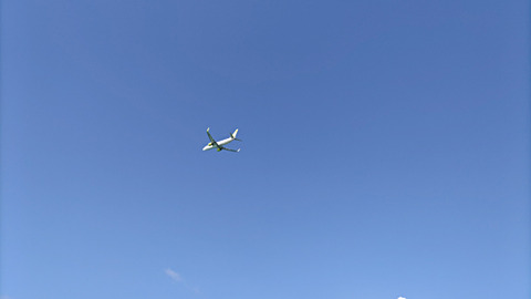 241024
