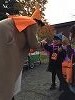 IMG_4008