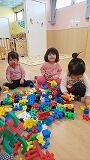 IMG_1212