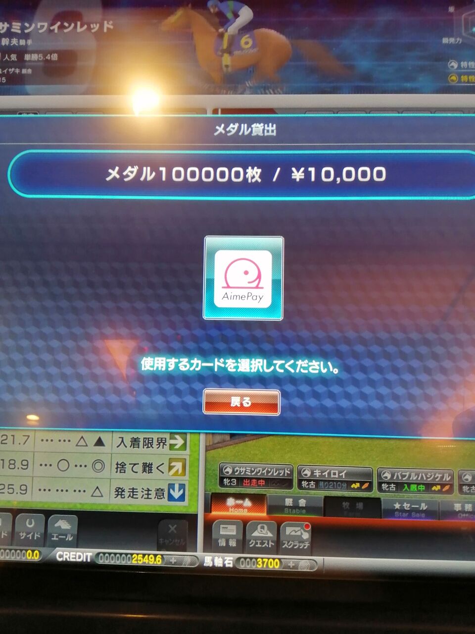 スターホース3 三大始祖のaimeカードになります。