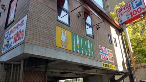 IMAG6244