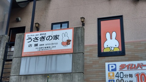 IMAG6242