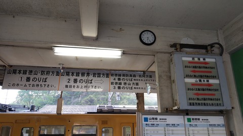 IMAG6107