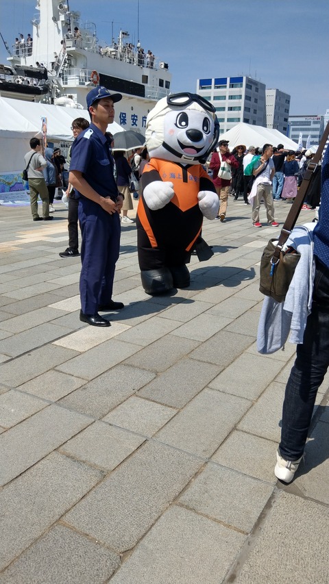 IMAG6448
