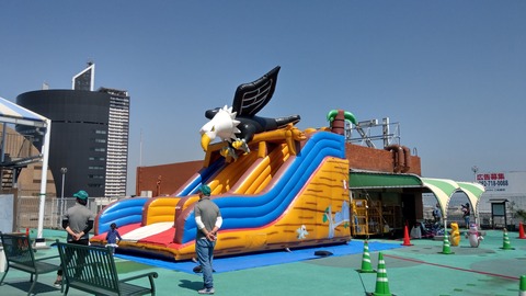 IMAG6306