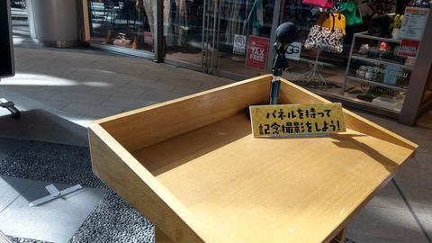 IMAG6298