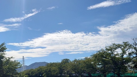 DSC_1380~2