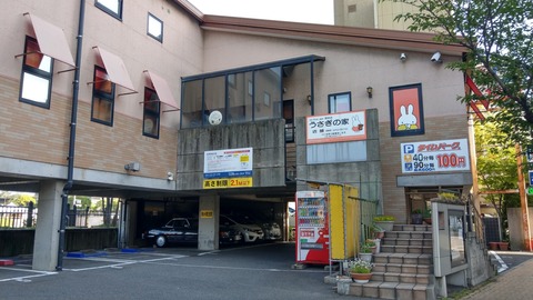 IMAG6243