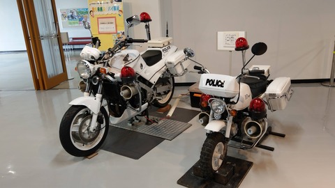 IMAG6152