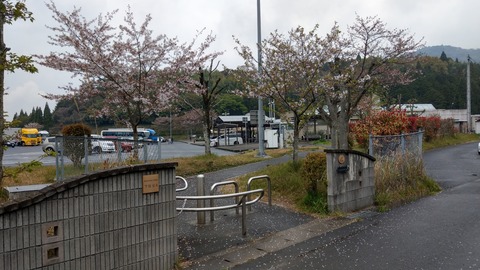 IMAG5996