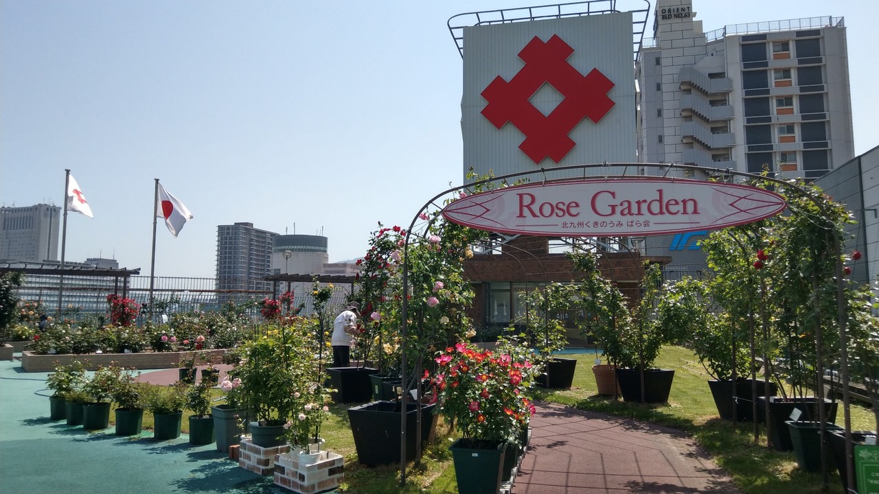 小倉井筒屋 屋上にて Starexpress Blog