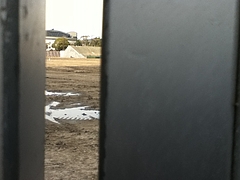 IMG_0308 IMG_0308