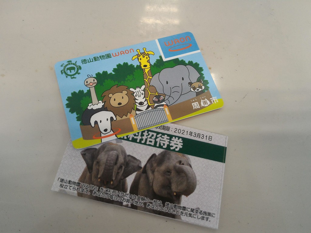 徳山動物園waon を手に入れてお得に動物園に行ってきた 1 Starexpress 山口 徳山動物園waon を手に入れてお得に動物園に行ってきた 1 Starexpress 山口