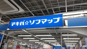 IMAG5493