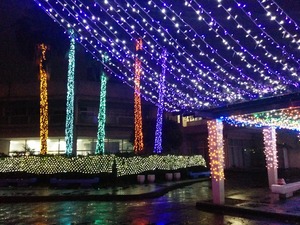 IMG_20151113_201220