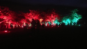IMG_20170717_200905