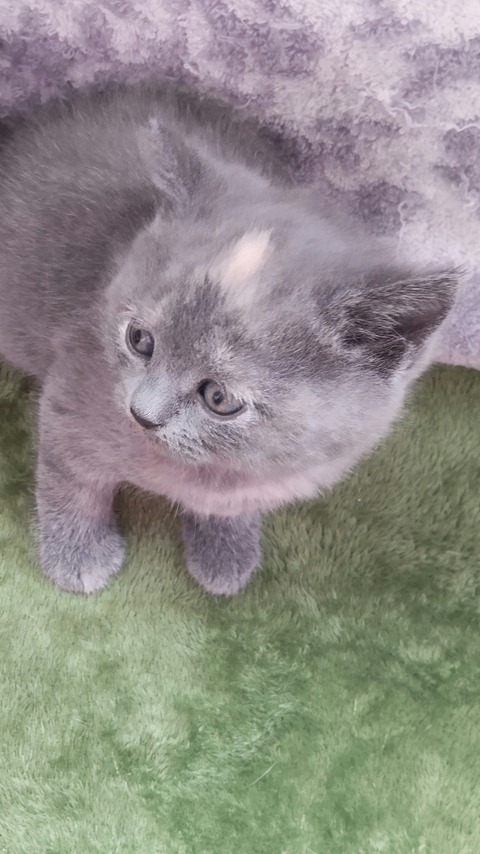 CENTER_0002_BURST20220310110424735