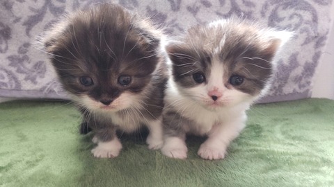 CENTER_0002_BURST20220310110327410