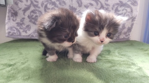 CENTER_0001_BURST20220310110328209_COVER