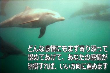 どんな感情にもまず寄り添って認めてあげる
