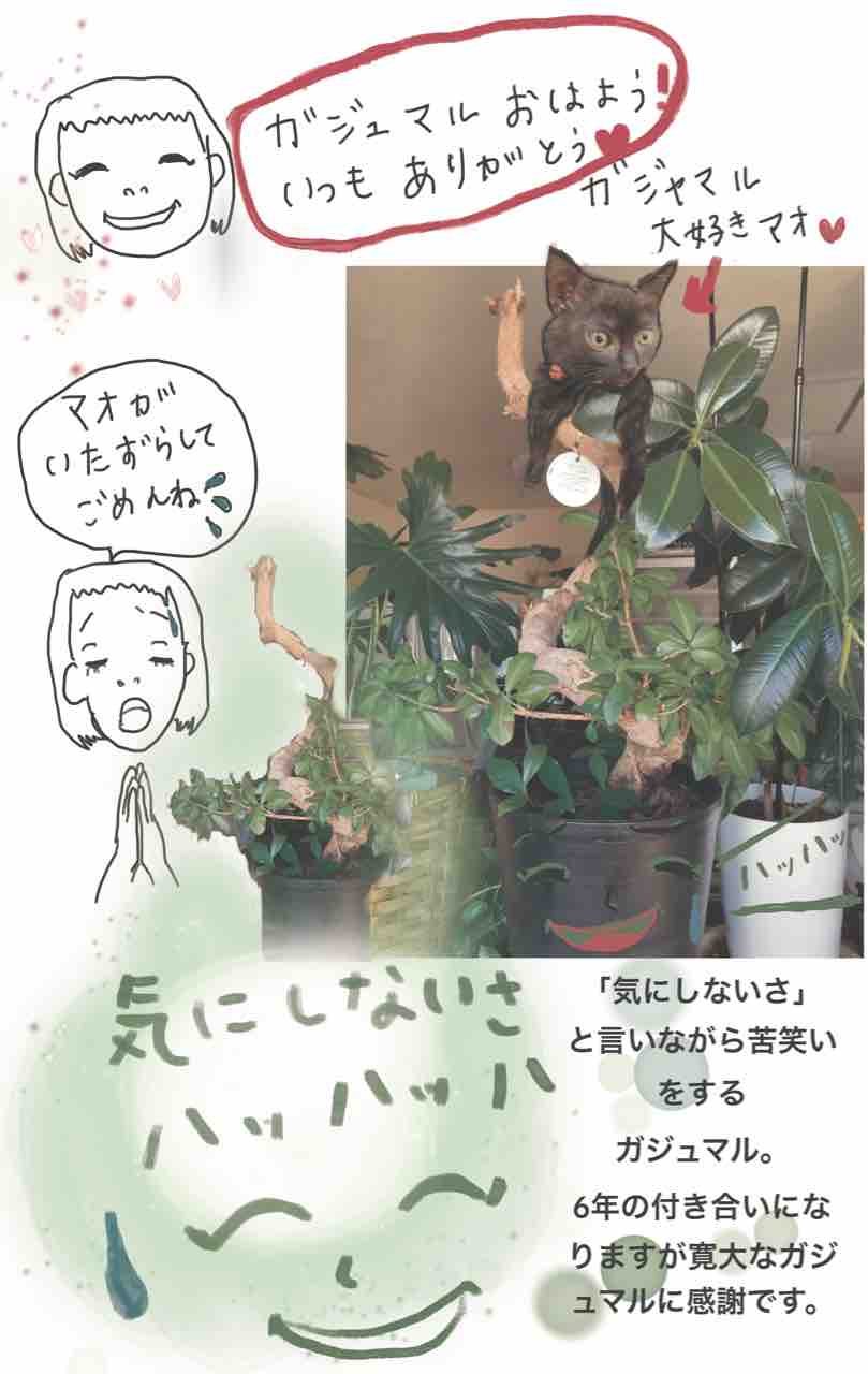あなたの大好きな観葉植物 木と会話してみませんか うちの飼い主は宇宙人と仲良し