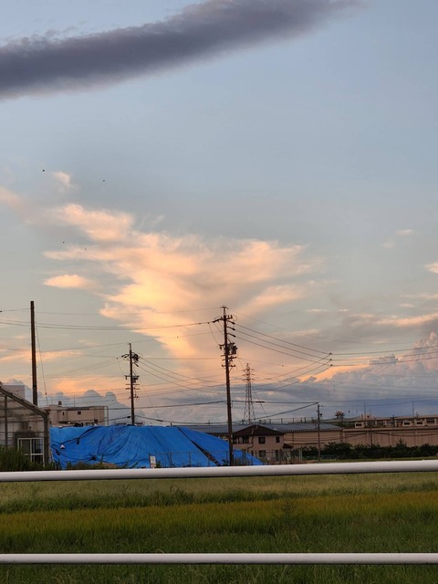 龍雲　8月26日