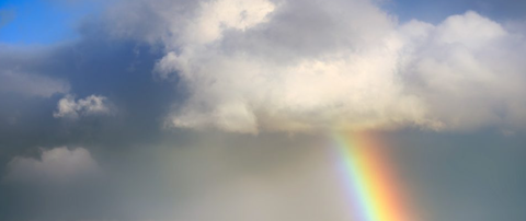 スクリーンショット 2024-11-30 122625