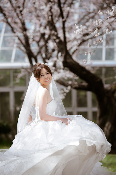 14120058162_161f4a856b_b