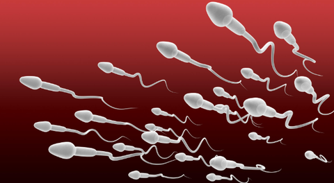 スクリーンショット 2025-11-15 200844