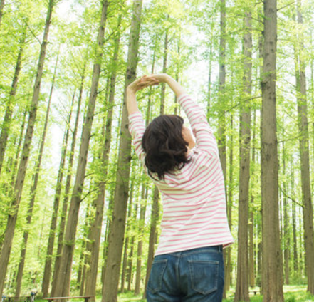 スクリーンショット 2024-11-30 124822