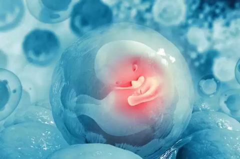 スクリーンショット 2024-12-06 150136