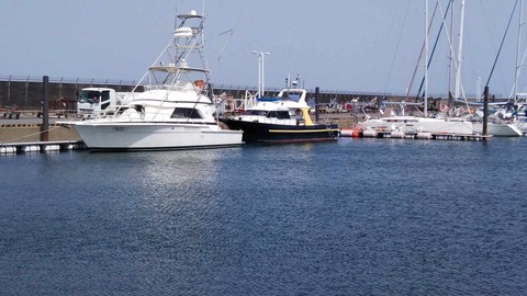 津ヨットハーバー　7