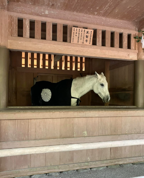 スクリーンショット 2025-01-24 034428